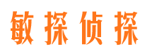 桃源市调查公司